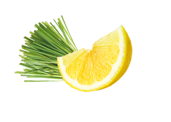 Lipa Flavour - Limun trava